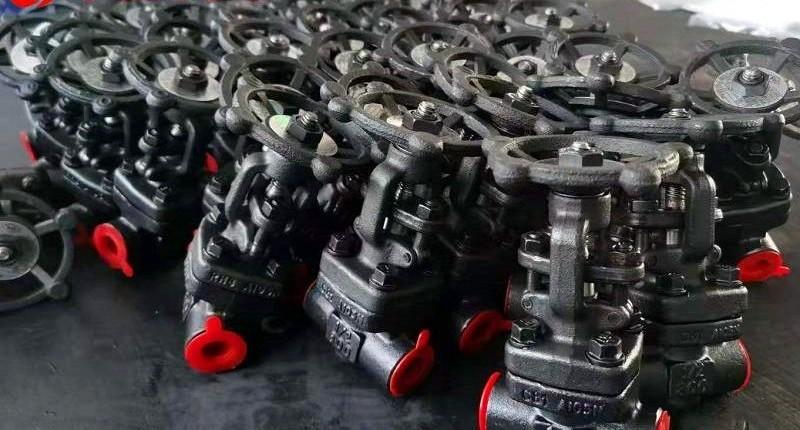 FORGED STEEL VALVES